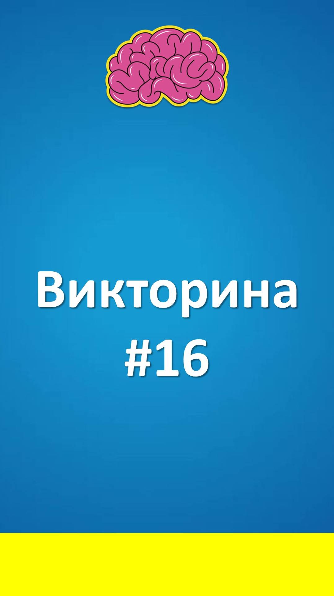 Викторина #16