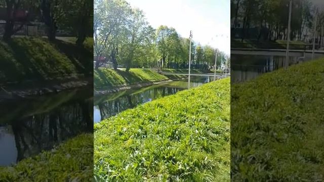 Смоленская Крепостная стена в Лопатинском саду