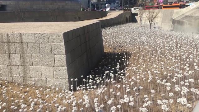 Dongdaemun Design Plaza