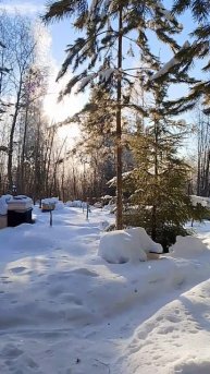 24 февраля. Солнышко уже весеннее