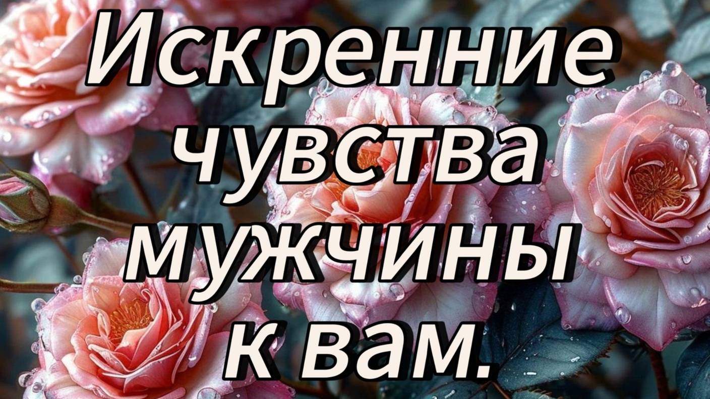 Искренние чувства мужчины к вам.