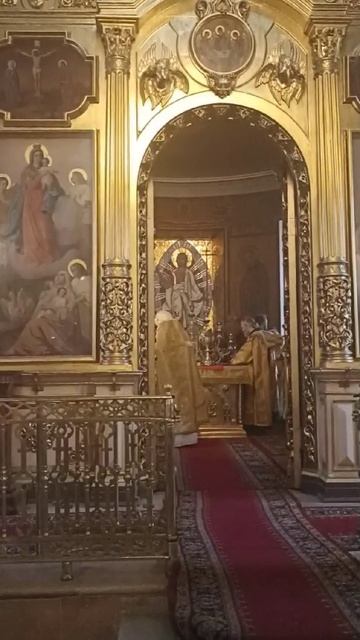 Чистота Богородицы