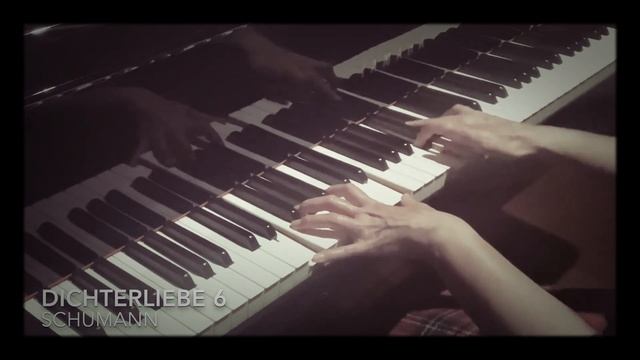 Dichterliebe op48-6 / R.Schumann / 詩人の恋