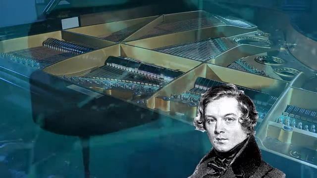 Robert Schumann, Carnaval 17. Paganini