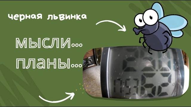 Мысли, планы на новый год