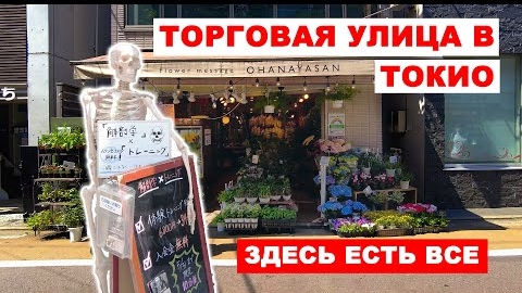 Япония: Как выглядит торговая улица в Токио