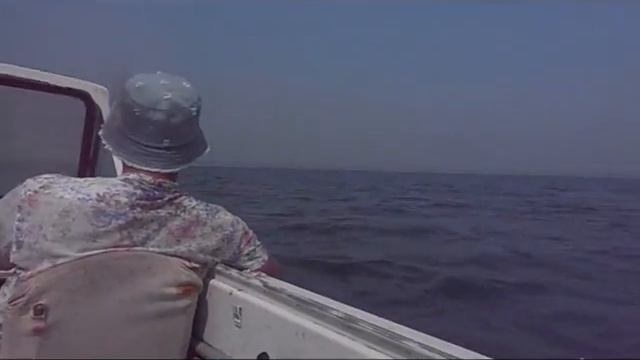 Мини-отчет по рыбалке на море
