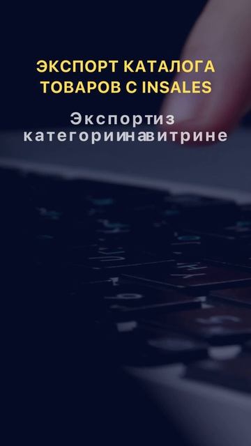 Экспорт каталога товаров с InSales на VirtualityCMS