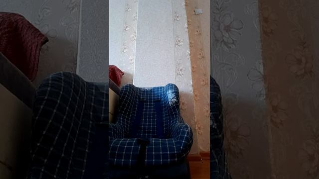 мой первый выезд