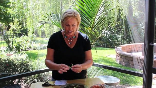 SimpleSolutionsDiva.com: How To Propagate Succulents