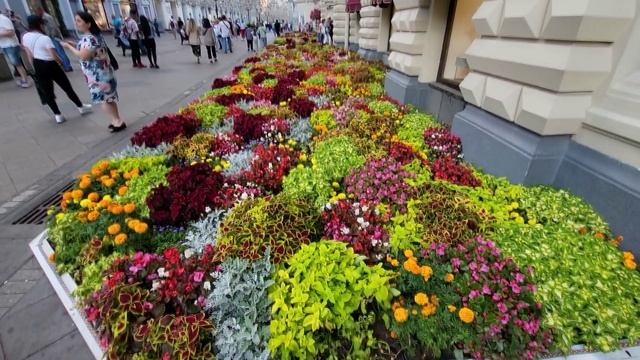 1 МОСКВА ВСТРЕЧА С РОДНЫМИ