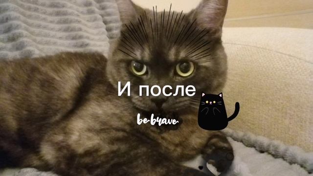 Коржык маленький и большой💓💕