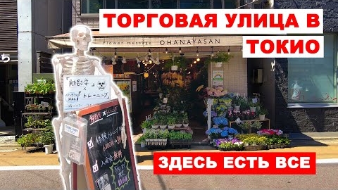 Япония: Как выглядит торговая улица в Токио