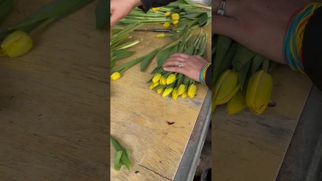 -Тюльпаны к 8 марта