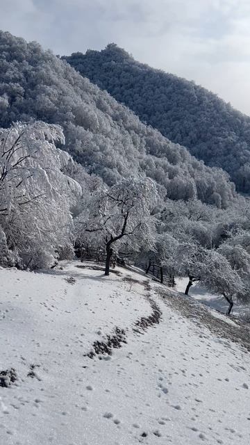 Швейцария эт второй ТАБАСАРАН #ШВЕЙЦАРИЯ #ТАБАСАРАН