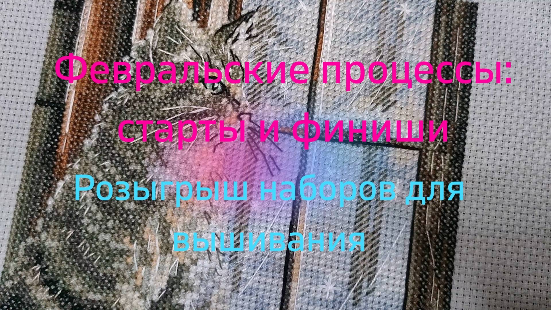 Февральские процессы - старты и финиши