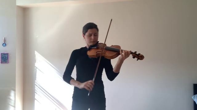 Sibelius Violin Concerto in D Minor, Op. 47: II. Adagio di molto