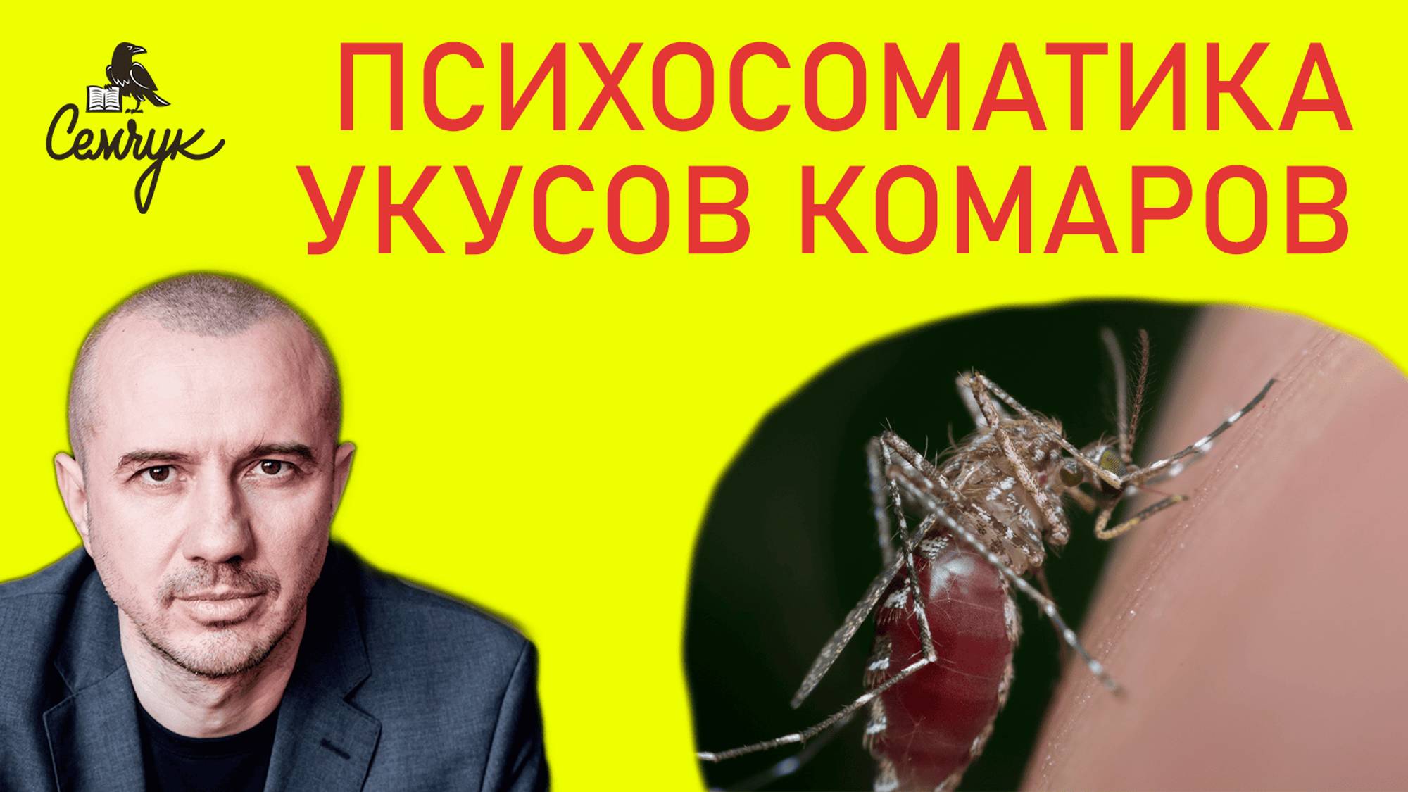 Почему людей кусают комары. Как избавиться от аллергии на укусы комара. Феноменальная психосоматика