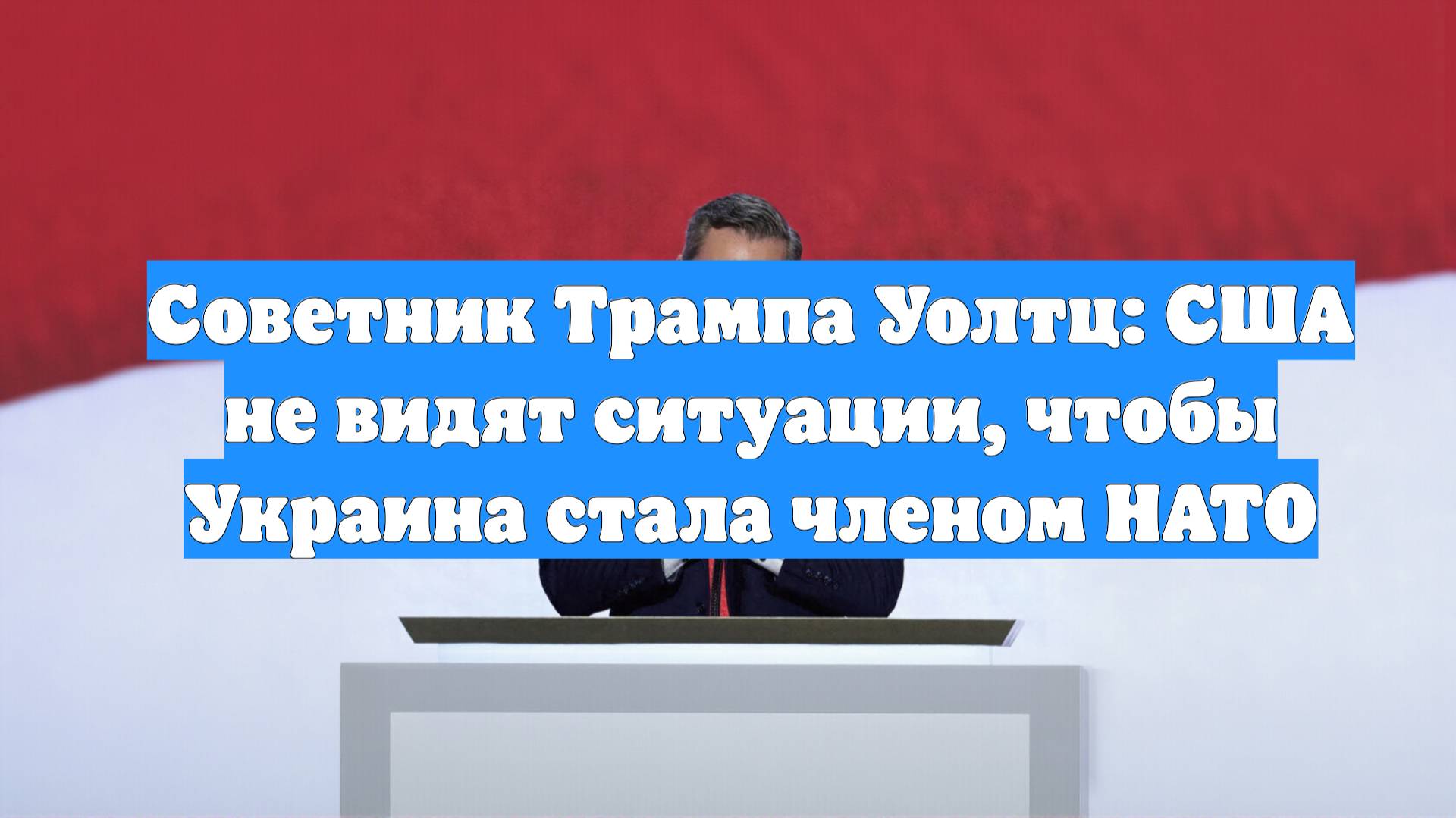 Советник Трампа Уолтц: США не видят ситуации, чтобы Украина стала членом НАТО