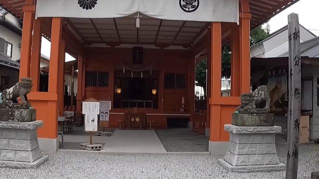 2千年の泉　龍神が宿るご神木　秩父今宮神社　役小角　忘れられた日本　世界の根源に触れる　この動画を見つけたあなたは強運の持ち主