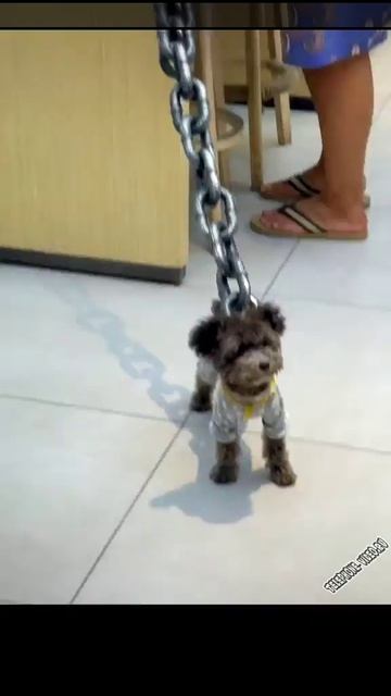 А жалко этого добряка)
