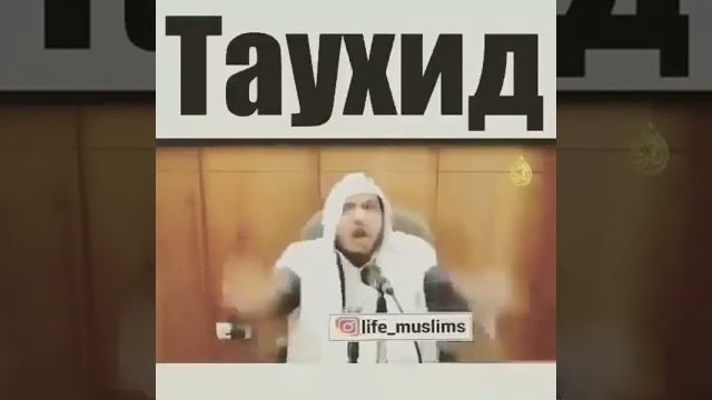 ТАУХИД