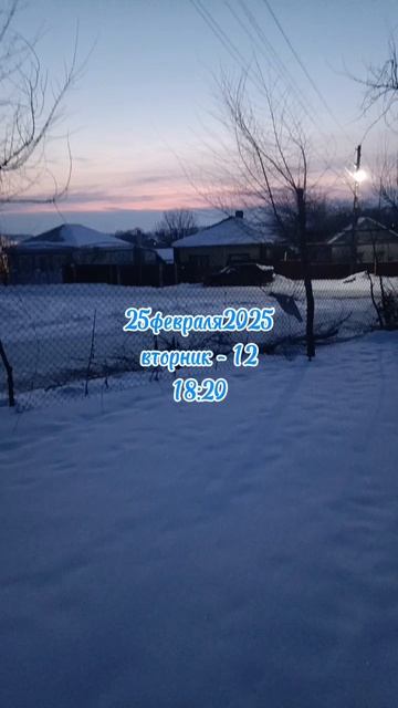 25февраля2025