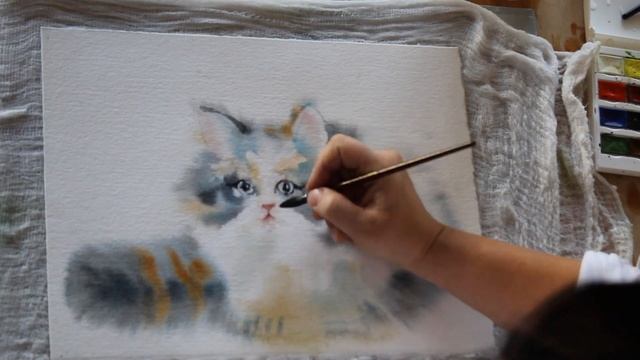 Workshop preparation. Painting cat with watercolor. Wet on wet.