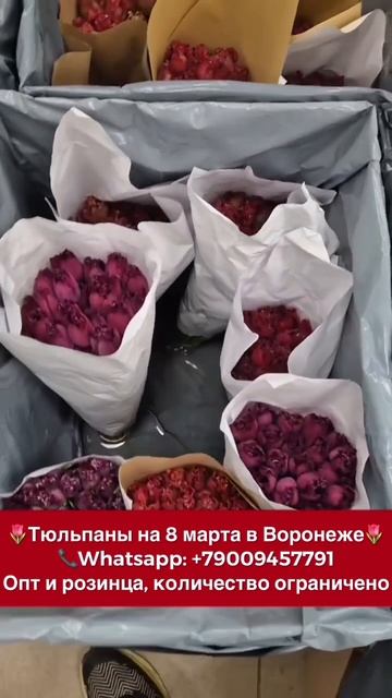 Шикарные тюльпаны в Воронеже