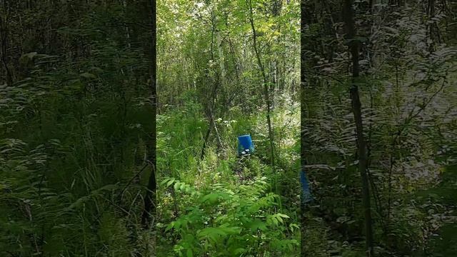 Зов тайги.mp4