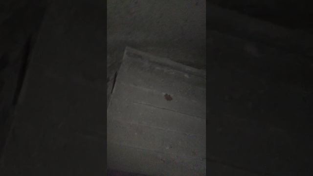Пробираемся аккуратно по заброшке, чтобы не наступить на гвозди