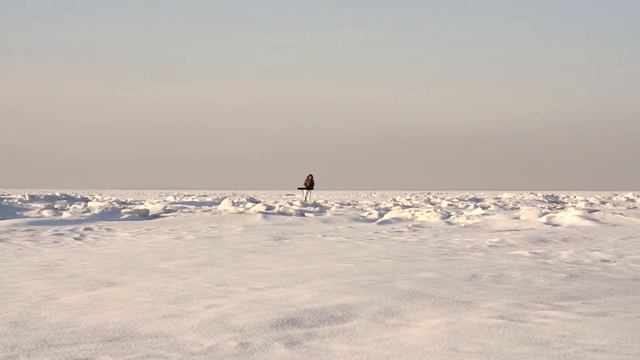 Roon Staal - De Scheiding