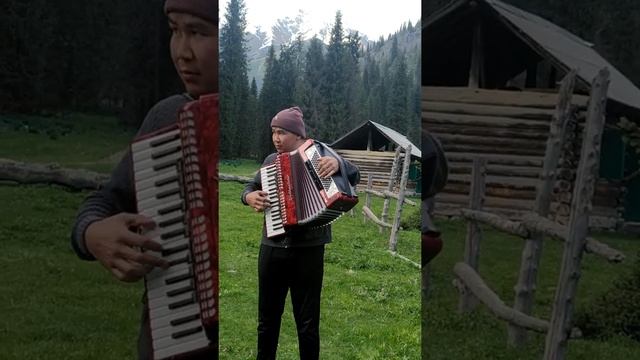 Дайыр Маматысаков" Арман ай"