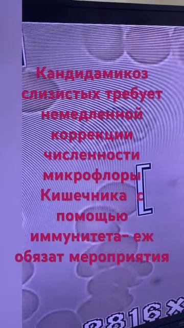 Как помочь самому себе ￼восстановить иммунитет? Уменьшить численность кандиды ежеднев  обязат мер-ми