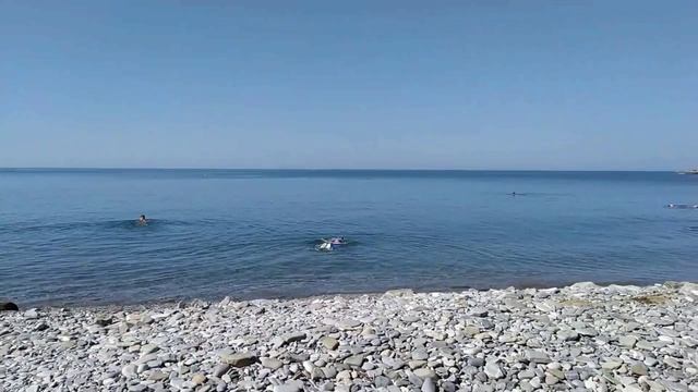 Видео. Инал 2023.