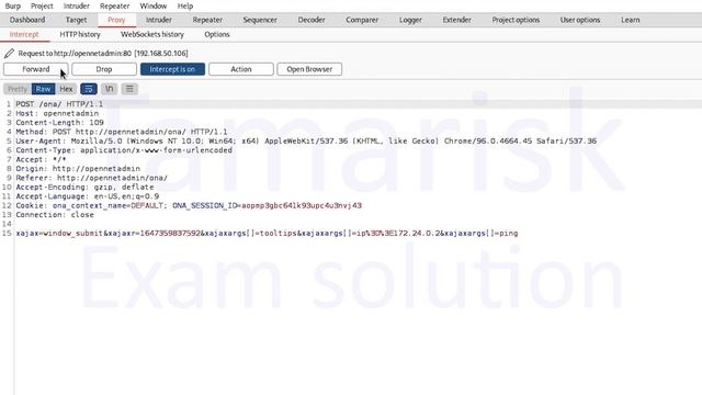 47.Tamarisk-WEB200-CI_04_03-Exploitation