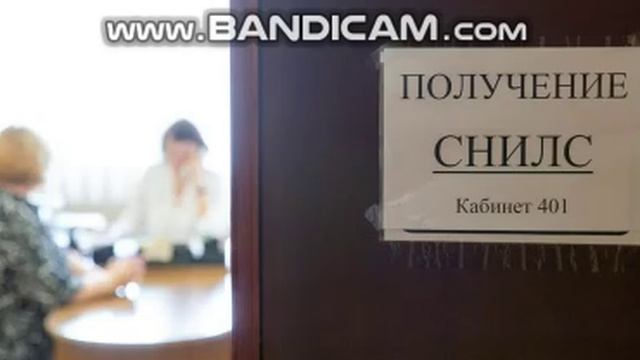 В Госдуме рассказали о новых схемах мошенничества через СНИЛС