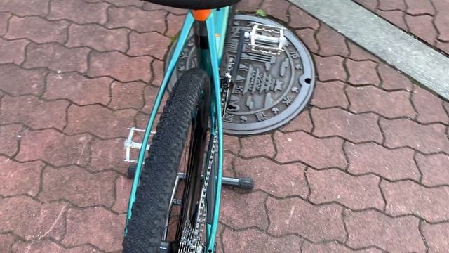 Salsa Cycles / Warbird Carbon GRX810