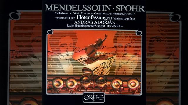 Violin Concerto in E Minor, Op. 64, MWV O 14 (Arr. W. Popp for Flute & Orchestra) : I. Allegro...