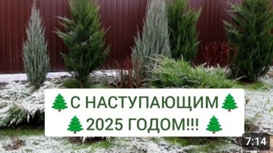 С НАСТУПАЮЩИМ 2025 ГОДОМ!!! 30.12.2024г.