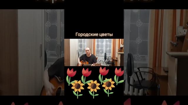 Городские цветы 
Автор и исполнитель: Владимир Курочкин