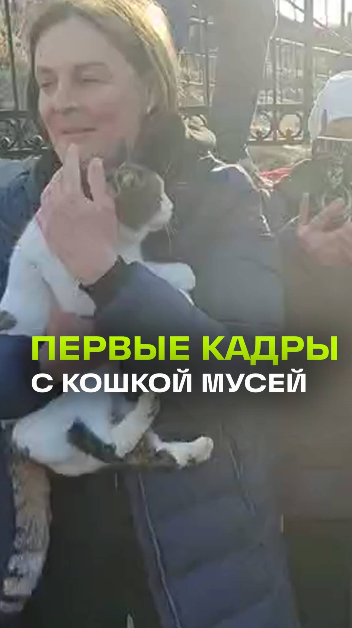 Первые кадры со спасенной кошкой Мусей