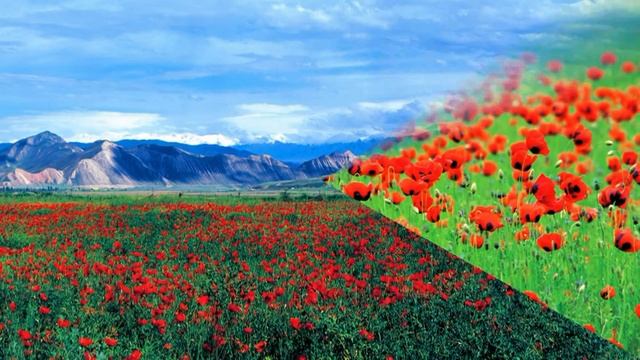 Beethoven 5th Symphony mix Melnikoff's HD Photos