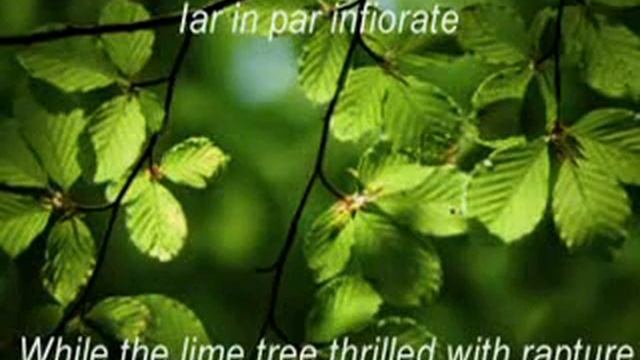 Johann Pachelbel Canon D flute and piano
