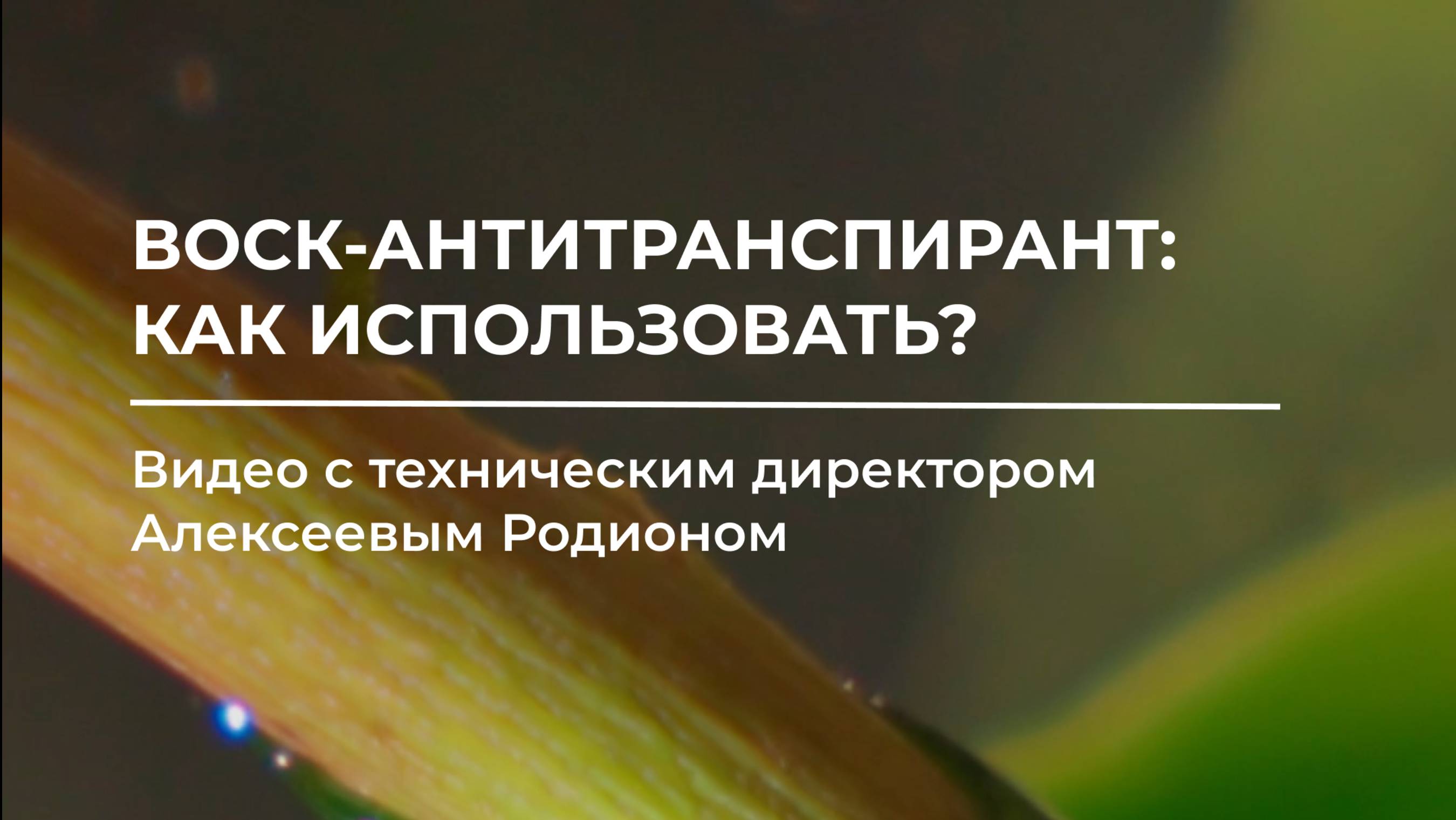 Как использовать воск для черенкования и прививок от НПФ «Шар» 🌱🌤️