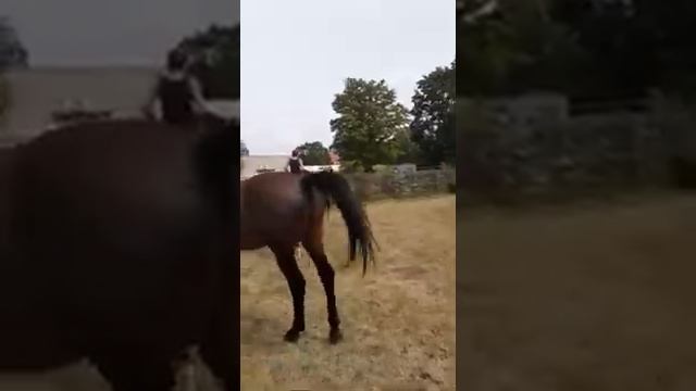 Верхом на 🏇 лошади