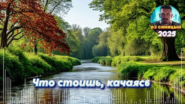 DJ СИНИЦЫН -  Что стоишь, качаясь 2025