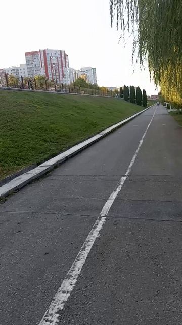 Прогулка в спутник