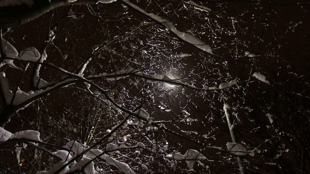Что это за звук в час ночи? (Зеленоград)