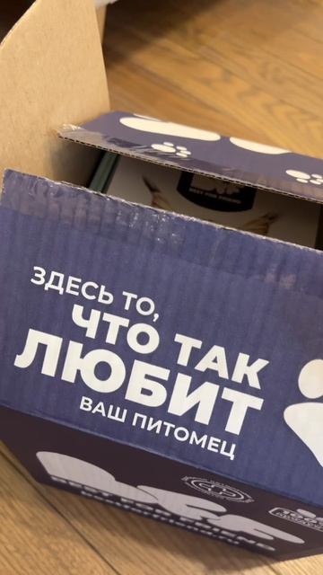 Чем кормить голодных котиков?